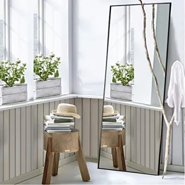 NeuType Full Length Elegant Mirror for Any Environment