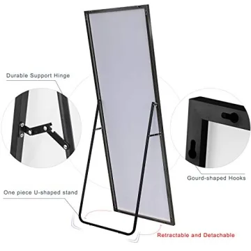 NeuType Full Length Elegant Mirror for Any Environment