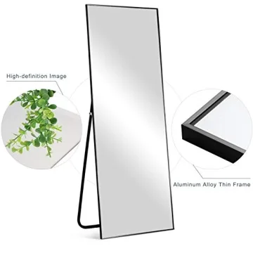NeuType Full Length Elegant Mirror for Any Environment