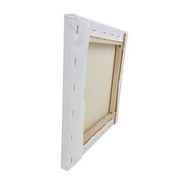 North American Made Artist Canvas (6 / Pack) On 3/4" Stretcher Bars, Double Primed with Acrylic Gesso 15 oz, Suitable for Oil, Acrylic Paints & Mixed Media Applications, Back Stapled (12" x 12")