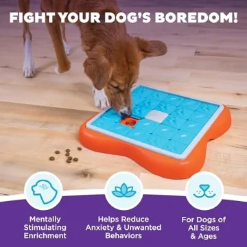 Advanced Dog Puzzle Toy - Challenge Slider