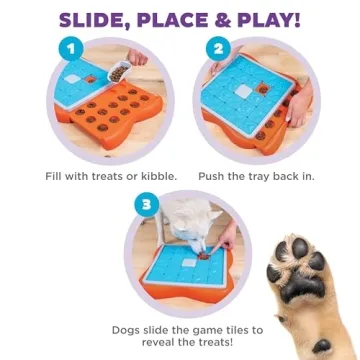 Advanced Dog Puzzle Toy - Challenge Slider