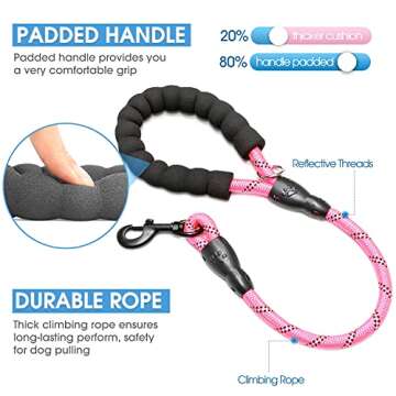 BAAPET 2/4/5/6 FT Dog Leash with Comfortable Padded Handle and Highly Reflective Threads for Small M...