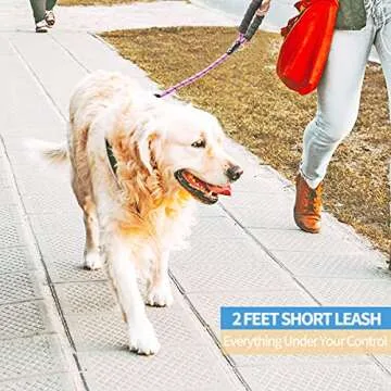 BAAPET 2/4/5/6 FT Dog Leash with Comfortable Padded Handle and Highly Reflective Threads for Small Medium and Large Dogs (2FT-1/2'', Pink)