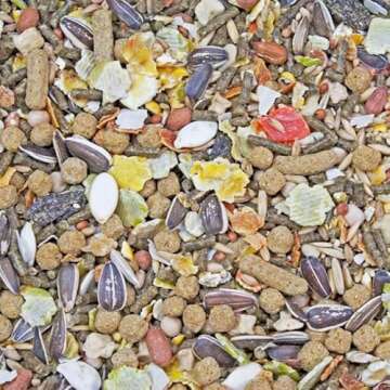 Higgins Sunburst Gourmet Food Mix For Hamsters And Gerbils