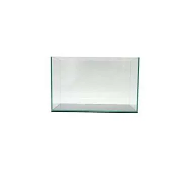 Lifegard Aquatics 5 Gallon Rimless Clear Glass Aquarium 5mm Thick Glass
