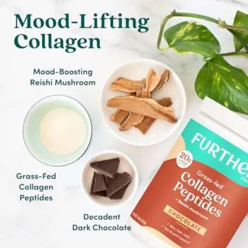 Further Food Chocolate Collagen Peptides Powder Stick Packs, Grass-Fed Pasture-Raised Hydrolyzed Type 1 & 3 Protein, Gut Health + Joint, Hair, Skin, Nails, Paleo Keto Sugar-Free 9.74 oz