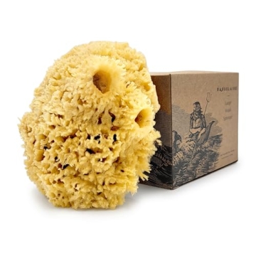 Natural Sea Wool Sponge - Luxurious Eco-Friendly Bathing