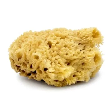 Natural Sea Wool Sponge - Luxurious Eco-Friendly Bathing