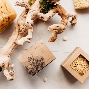 Natural Sea Wool Sponge - Luxurious Eco-Friendly Bathing