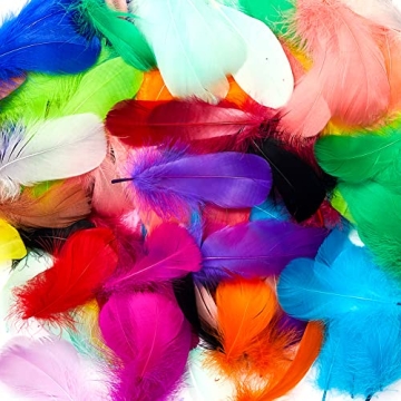 800pcs Colorful Natural Goose Feathers – Perfect for Crafting Projects & DIY Decorations