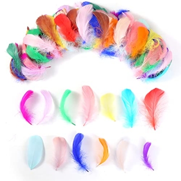 Vibrant 800pcs Natural Goose Feathers in 20 Colors