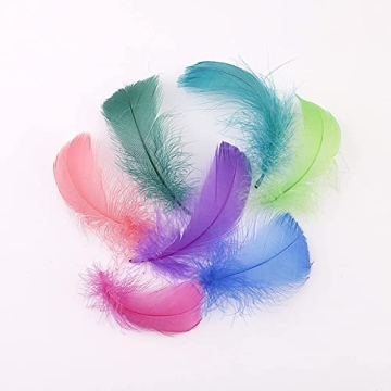 Vibrant 800pcs Natural Goose Feathers in 20 Colors