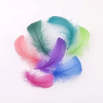 Vibrant 800pcs Natural Goose Feathers in 20 Colors