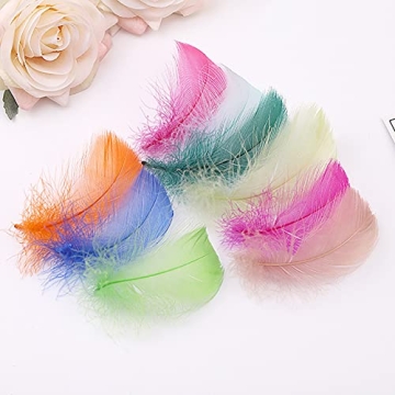 Vibrant 800pcs Natural Goose Feathers in 20 Colors