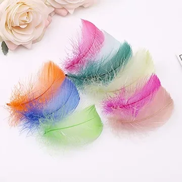 Vibrant 800pcs Natural Goose Feathers in 20 Colors
