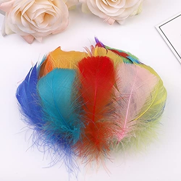 Vibrant 800pcs Natural Goose Feathers in 20 Colors