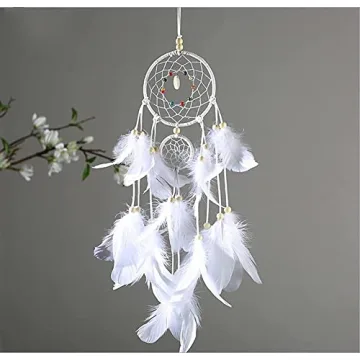 Vibrant 800pcs Natural Goose Feathers in 20 Colors