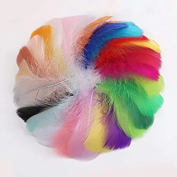 Vibrant 800pcs Natural Goose Feathers in 20 Colors