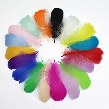 Vibrant 800pcs Natural Goose Feathers in 20 Colors