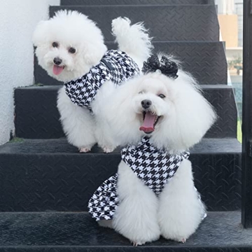 CuteBone Turtleneck Velvet Dress for Small Dogs