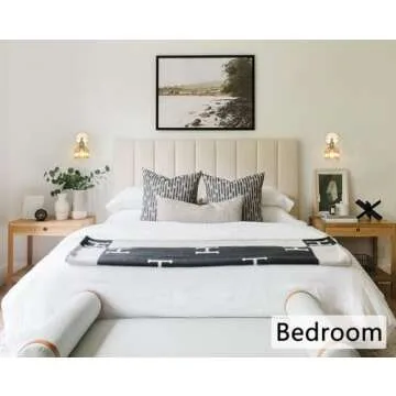 Shenmoyl Vintage Amber Glass Wall Sconce with Switch