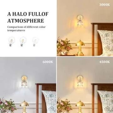 Shenmoyl Vintage Amber Glass Wall Sconce with Switch