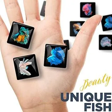 Decorative Magnets for Fridge – Glass Magnets for Refrigerator – Cute Fridge Magnets for Office and Kitchen – Succulent Whiteboard Magnets for Locker