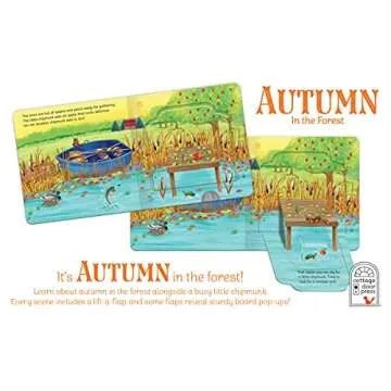 Autumn In The Forest Lift-a-Flap Board Book