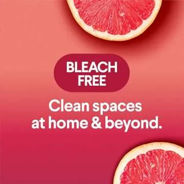 Clorox Scentiva Wipes - Citrus Fresh Disinfecting Solution