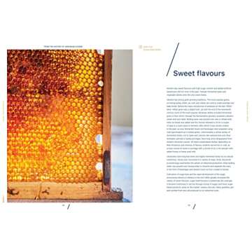 Ukraine. Food and History