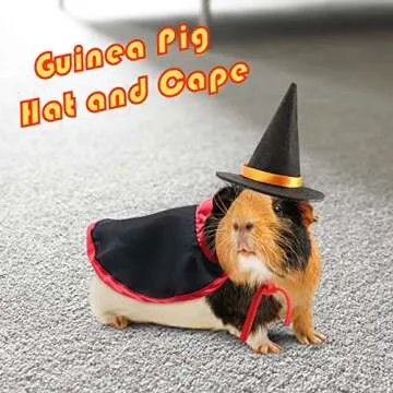 RYPET Guinea Pig Costumes - Hat & Cape Set for Pets