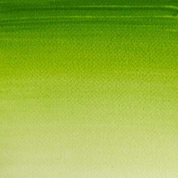 Winsor & Newton Cotman Watercolor Paint, 21ml (0.71-oz) Tube, Sap Green