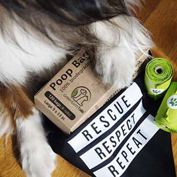 Compostable & Biodegradable Poop Bags for Dogs - Large, Leak Proof, Easy-to-Tear and Earth Friendly Pet Waste Bags - ASTM D6400 and Vincotte OK Compost Certified - 16 Rolls of 15 Bags, 240 Bags Total