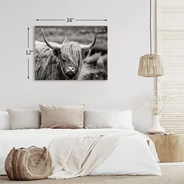 Highland Cow Canvas Wall Art Ready to Hang Modern Decor