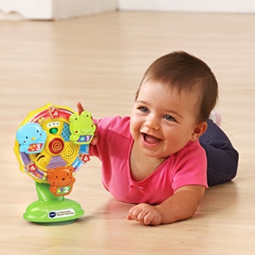Vtech Lil' Critters Spin and Discover Ferris Wheel