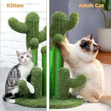PAWZ Road Cat Scratching Post Cactus Cat Scratcher Featuring with 3 Scratching Posts and Dangling Ball-Medium 23 Inches