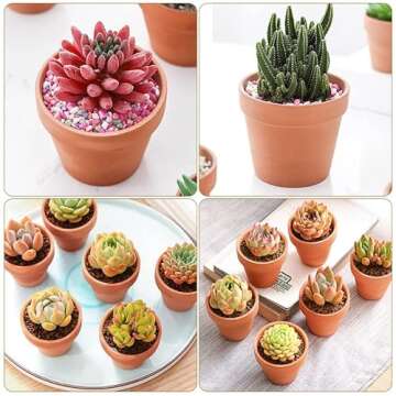 4inch 10pcs Terracotta Pots, Terracotta Pots for Plants/Succulent/Cactus with Drainage for Indoor, O...