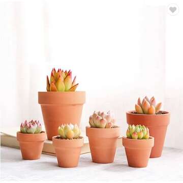 4inch 10pcs Terracotta Pots, Terracotta Pots for Plants/Succulent/Cactus with Drainage for Indoor, Outdoor, Home Office Decoration