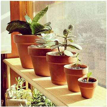 4inch 10pcs Terracotta Pots, Terracotta Pots for Plants/Succulent/Cactus with Drainage for Indoor, Outdoor, Home Office Decoration