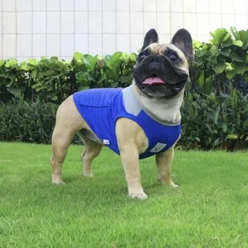 iChoue Summer Cooling Shirt for Dogs - UV Protect Vest