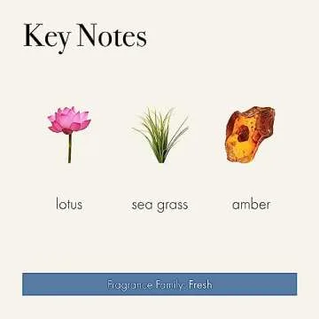 LAFCO Pura Scent Refill Sea & Dune - Lasting Aroma