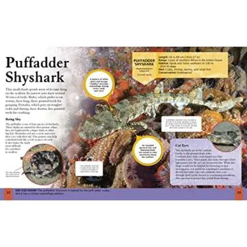 Children's Shark Encyclopedia - Fun Learning for Kids!