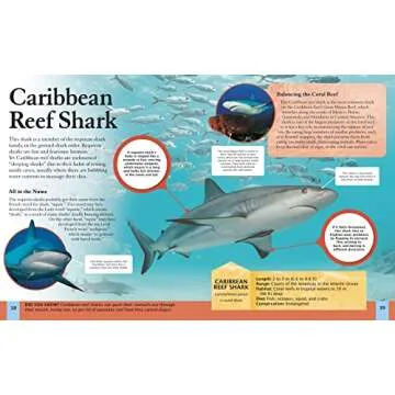 Children's Shark Encyclopedia - Fun Learning for Kids!