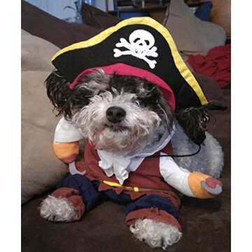 TOPSUNG Cool Caribbean Pirate Pet Halloween Costume for Small to Medium Dogs/Cats, Size S