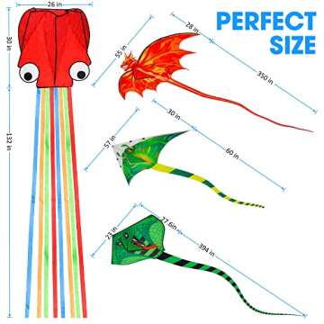 4 Pack Kites for All Ages - Fun Outdoor Adventure Toys