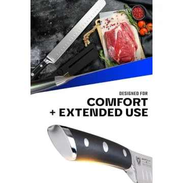Dalstrong 10 inch Slicing Carving Knife - Gladiator Series Elite