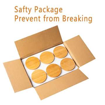 Succulent Plant Pots - Ceramic Cactus Planters with Trays