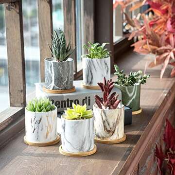 Succulent Plant Pots - Ceramic Cactus Planters with Trays