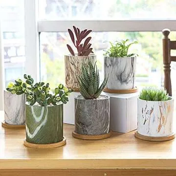 Succulent Plant Pots - Ceramic Cactus Planters with Trays